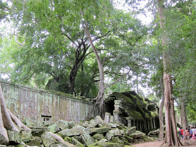 A Temple Frozen in Time: Ta Prohm