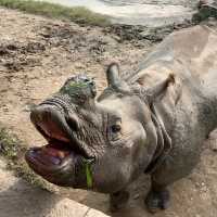 江戶川區自然動物園：在動物世界裡玩得不亦樂乎！ 🐘🐨🐅