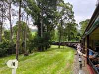 Scenic Journey on the Puffing Billy Railway in Melbourne