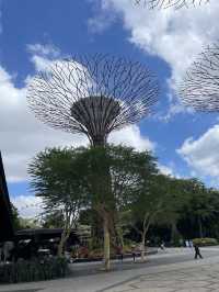 Garden by the Bay - Singapore