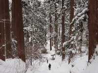 日本東北❄️踏雪尋覓羽黑山五重塔