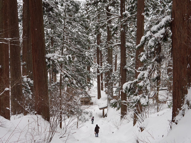日本東北❄️踏雪尋覓羽黑山五重塔