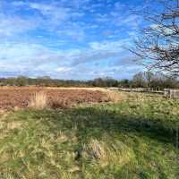 Richmond Park (London)