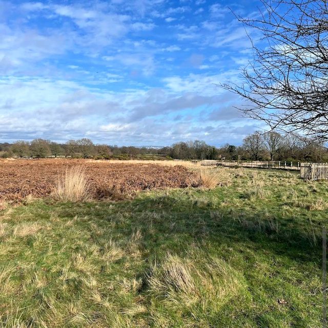 Richmond Park (London)
