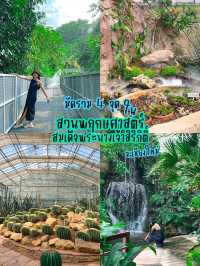 4 จุดห้ามพลาด ในสวนพฤกษาศาสตร์เชียงใหม่ 🌵