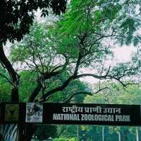 家族で楽しめるインド最大級の動物園🦌