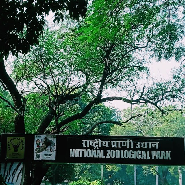 家族で楽しめるインド最大級の動物園🦌