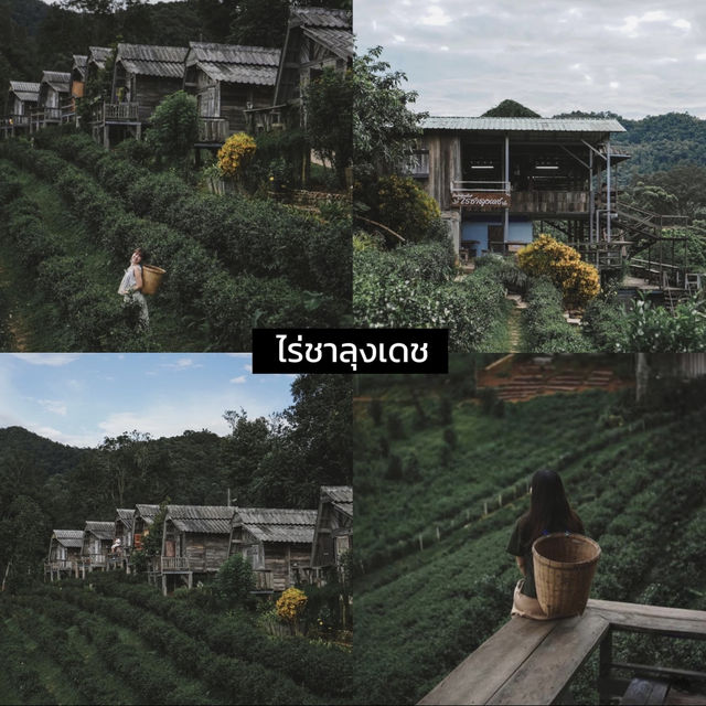 🌿 10 โฮมสเตย์น่าพักเชียงใหม่