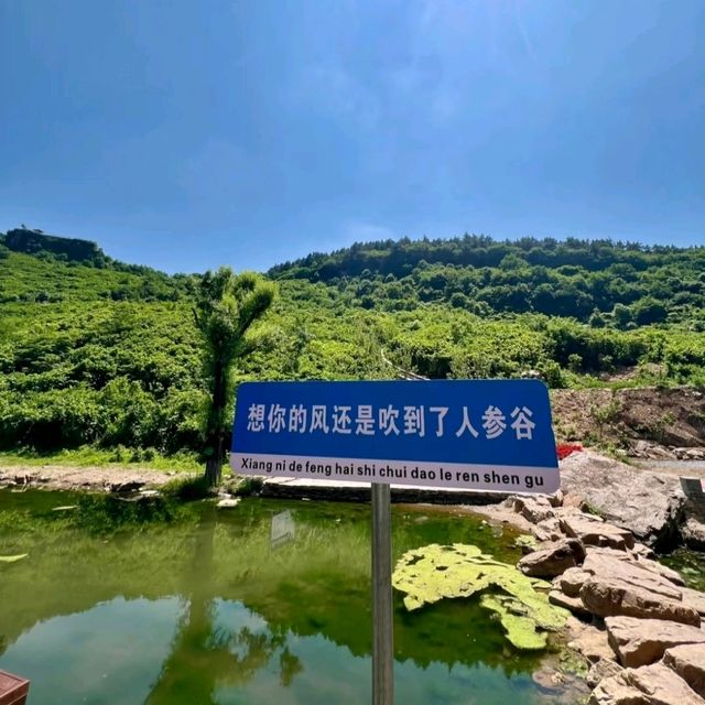 雪參時間膠囊庫