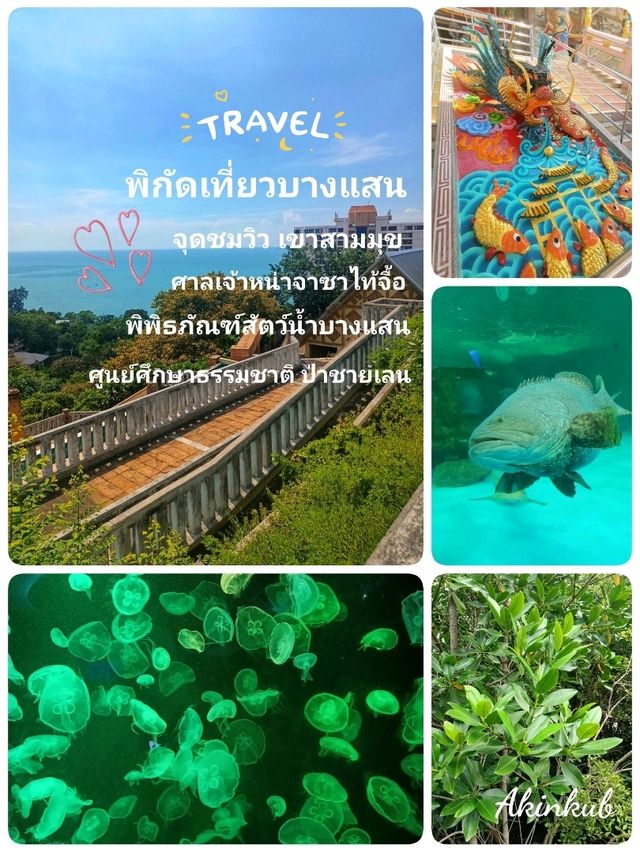 พิกัดเที่ยวบางแสน แค่ปากซอย
