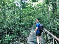 “Spring into Adventure With Niah Cave”