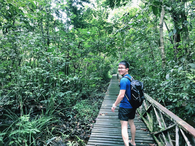 “Spring into Adventure With Niah Cave”