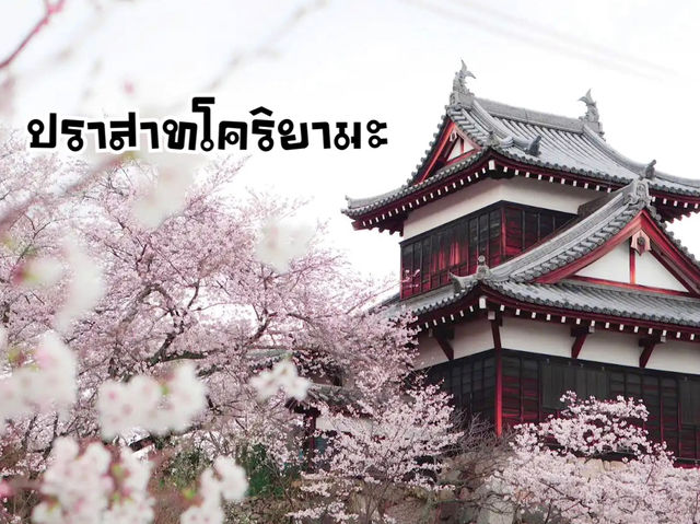 ซากุระ @ปราสาทโคริยามะ จ.นารา
