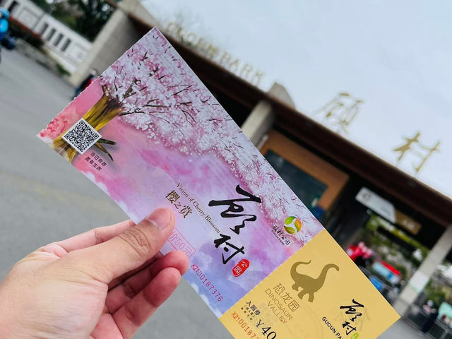 Gucun Park Cherry Blossoms Guide