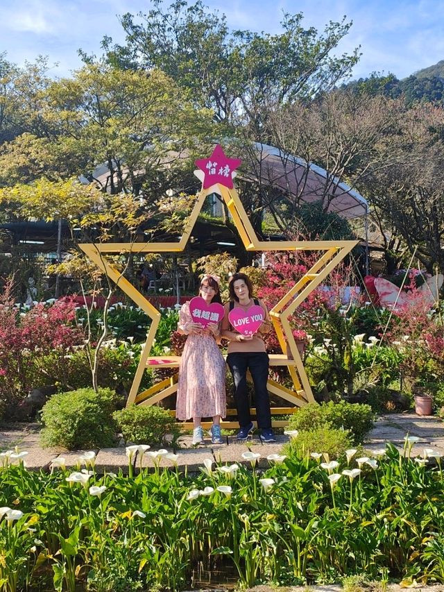 遠離塵囂忘憂好去處：陽明山苗榜海芋花園野菜餐廳🌿