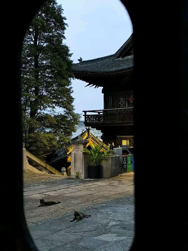 Serene Temple In Mianyang 