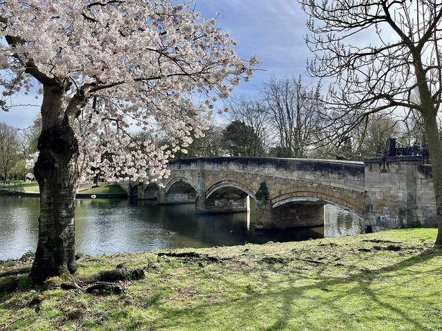 A Morning walking tour at Abbey park 