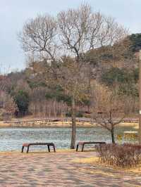 산책하기 좋은 공원 추천 ‘빛가람호수공원’