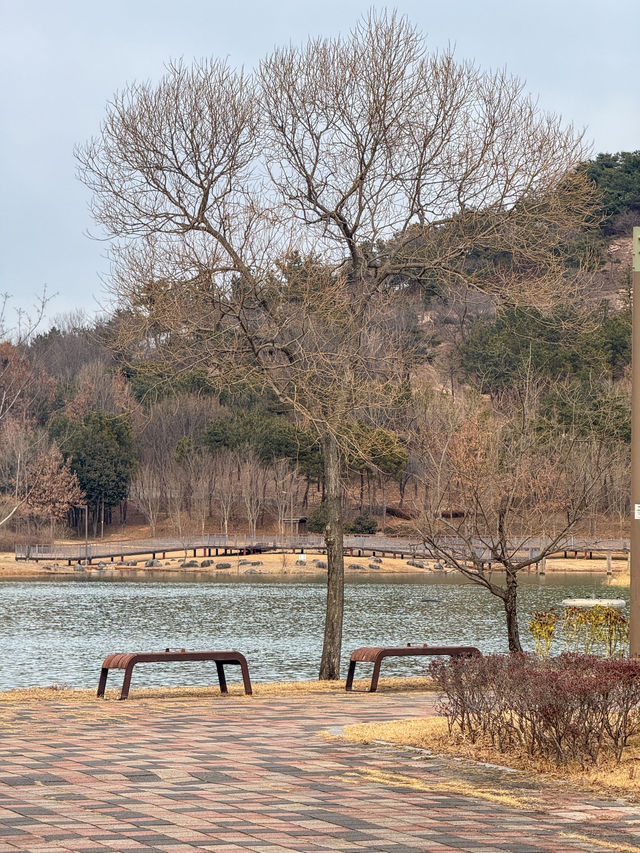 산책하기 좋은 공원 추천 ‘빛가람호수공원’