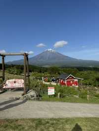 🇯🇵可以影到飛越富士山的童話牧場🐑✨
