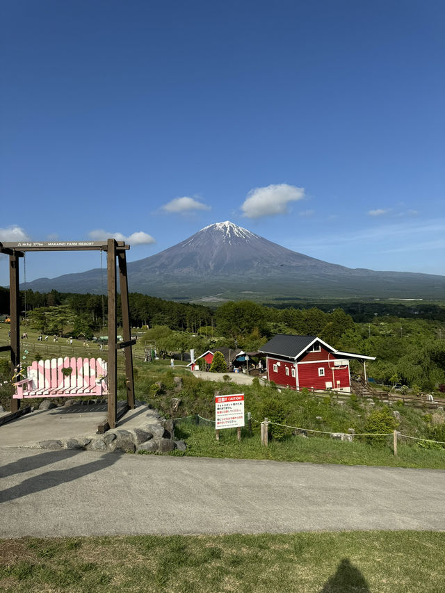 🇯🇵可以影到飛越富士山的童話牧場🐑✨