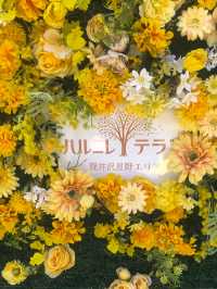 【軽井沢で癒しの1日🌿タリアセン＆キッチンハイツ＆ハルニレテラスめぐり】