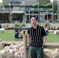 The Scenery Farm สวนผึ้ง