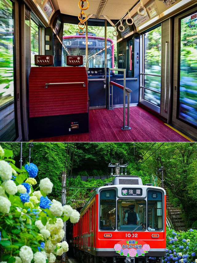 6月・7月の箱根が待ち遠しい！あじさい電車がロマンチックすぎる💐