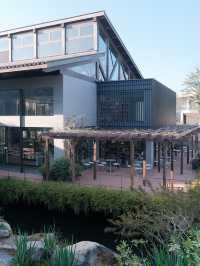 苗栗秘境！預約制入園，美景美食美展一次滿足