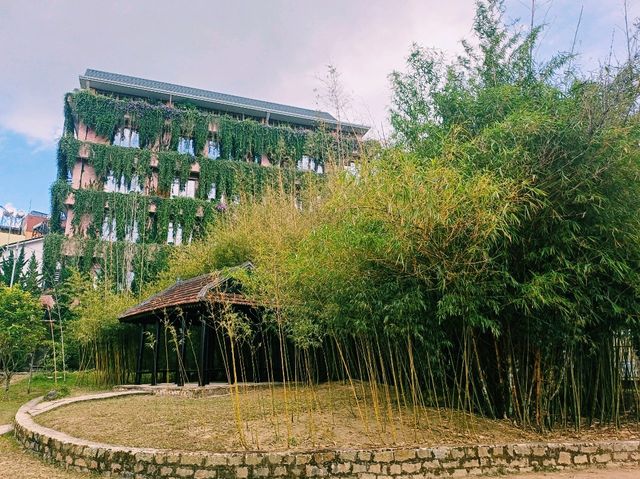 越南大叻市中心著名寺廟景點：觀音廟Hidden Buddhist temple，祈福非常靈驗，適合打卡拍照📸冥想