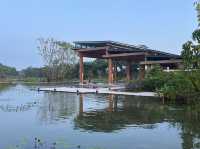 Wandering Through Stillness: A Solo Day at the Chinese and Japanese Gardens in Singapore