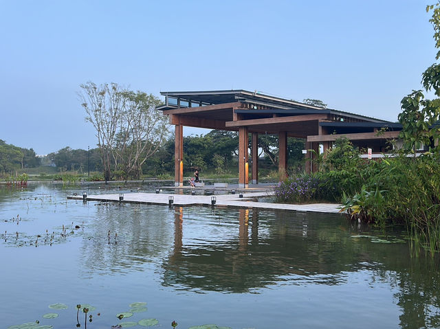 Wandering Through Stillness: A Solo Day at the Chinese and Japanese Gardens in Singapore