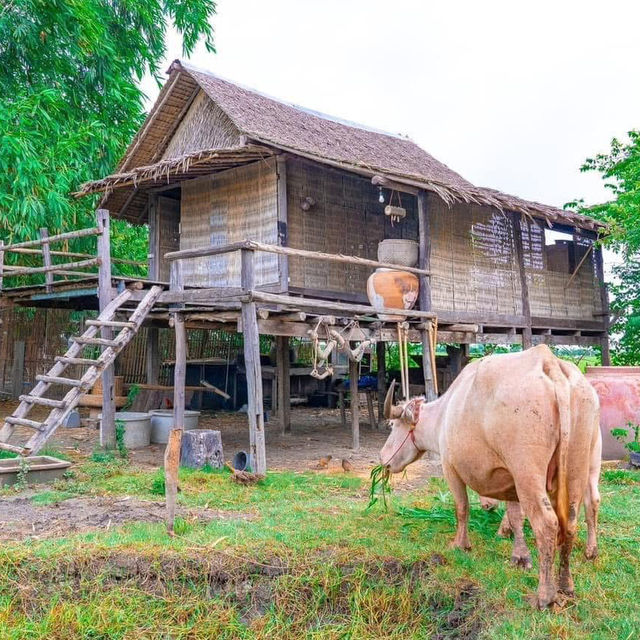 บ้านปายดิน ออร์แกนิค ฟาร์มสเตย์