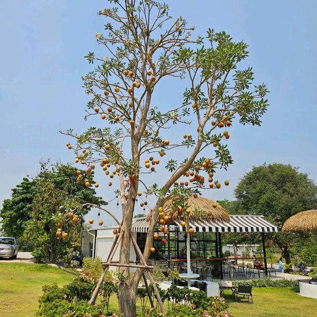🌸Margaret Private Villa & Cafe Rayong 🌼