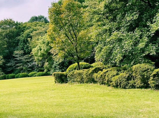 日本東京著名公園景點：新宿御苑，適合打卡拍照📸