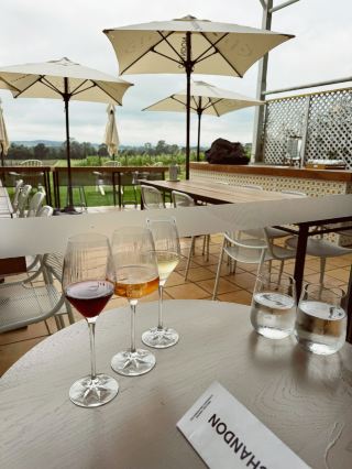 🇦🇺メルボルンLVHM傘下のシャンドンワイナリー✨