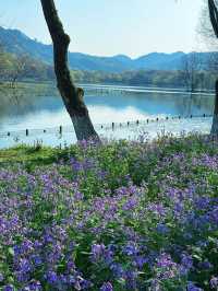 Maojiabu– Hangzhou's Rustic Waterfront Escape