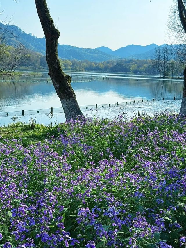 Maojiabu– Hangzhou's Rustic Waterfront Escape