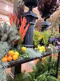 Melbourne international flower show