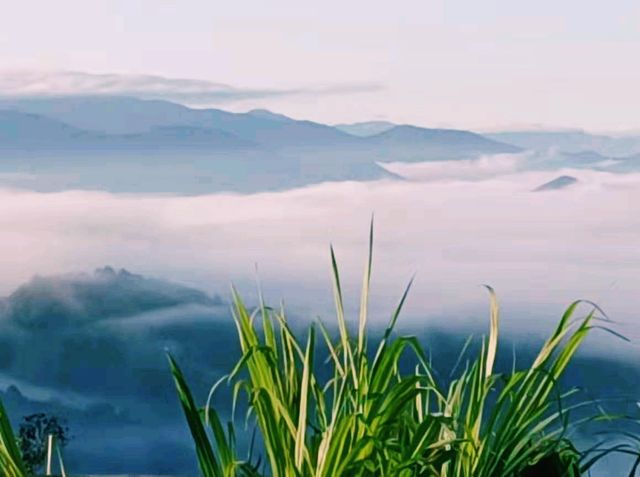 中國雲南普洱著名景點：景邁山，適合打卡拍照📸