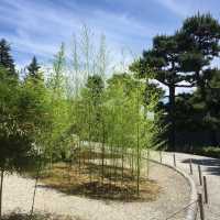 走進二条城，穿越回幕府時代的歷史現場