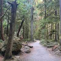 Olympic National Park, Washington – Wilderness in Every Direction