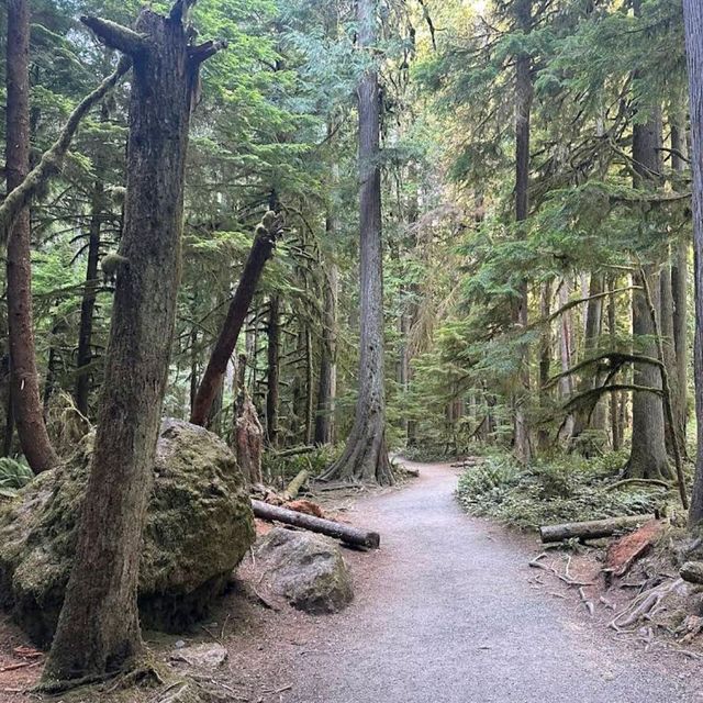 Olympic National Park, Washington – Wilderness in Every Direction