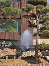 Chasing Cherry Blossoms: The Magic of Nami Island