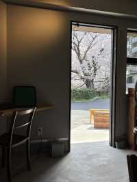 【北九州カフェ】桜並木を眺めながらまったりできるカフェ