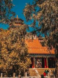 Wandering Through Imperial Dreams: A Journey into Beijing’s Summer Palace