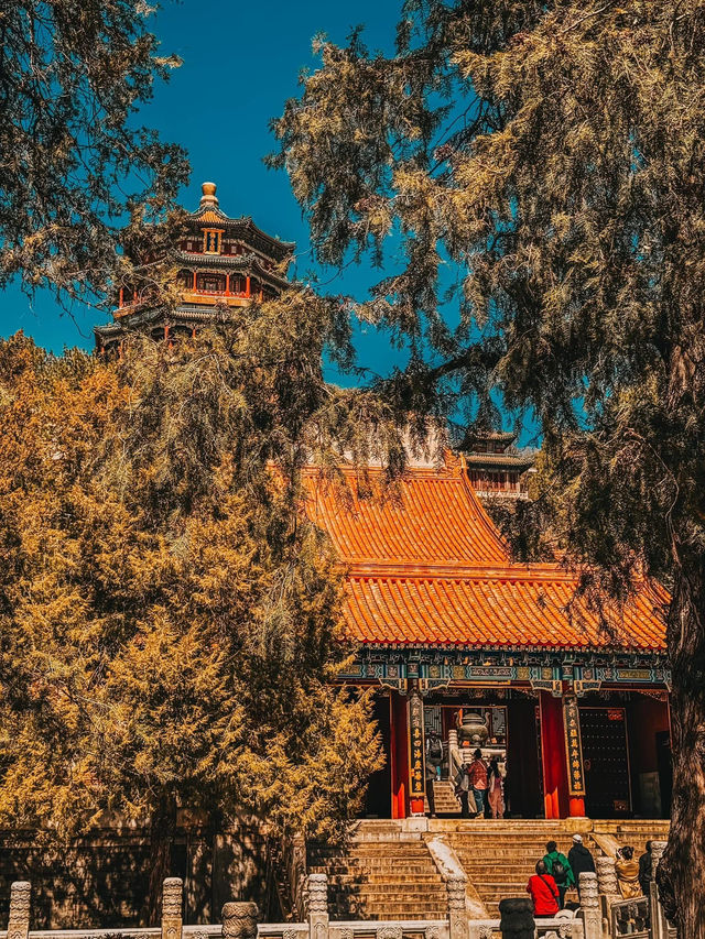 Wandering Through Imperial Dreams: A Journey into Beijing’s Summer Palace