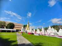 วัดสวนดอก 