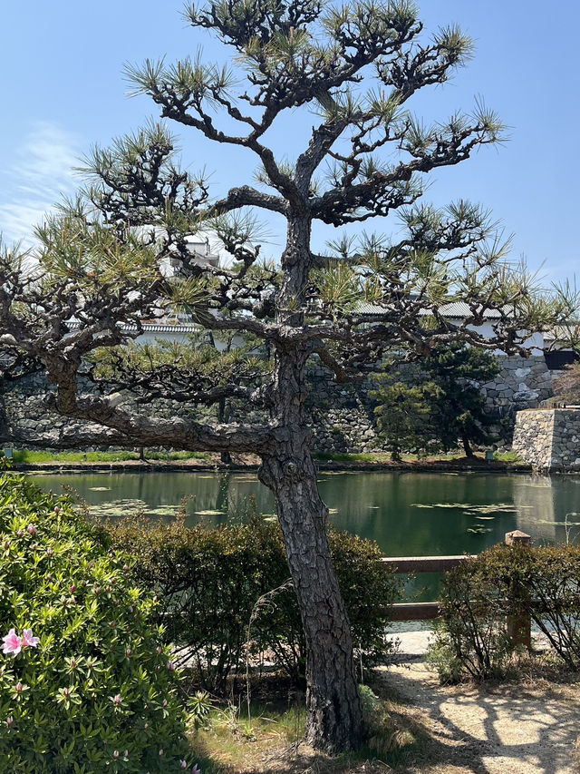 日本四國