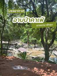 อาบป่าคาเฟ่